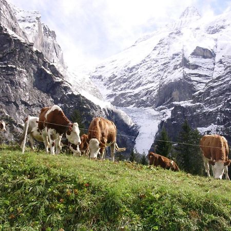 Apartament Firstsunne Grindelwald Zewnętrze zdjęcie