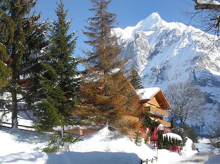 Apartament Firstsunne Grindelwald Zewnętrze zdjęcie